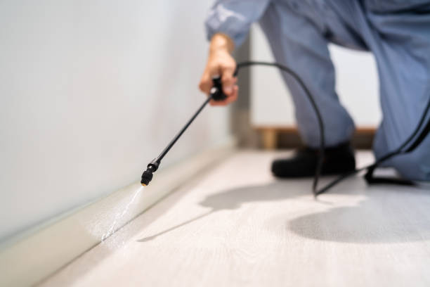 Licensed Cockroach Control service in Mount Vernon, MD - Nex Pest Control